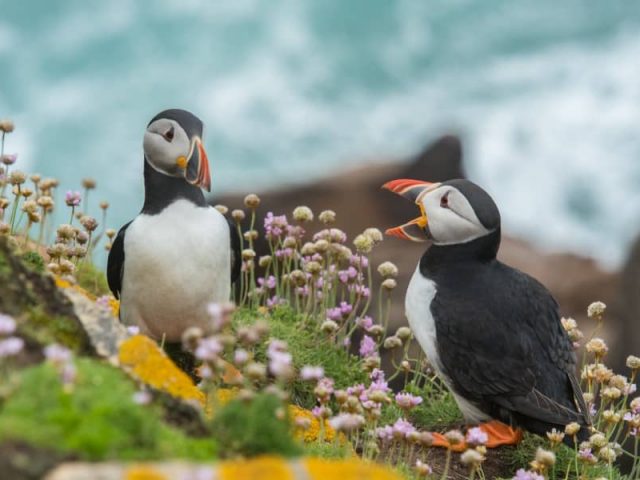 Exploring amazing living nature in Northern Africa